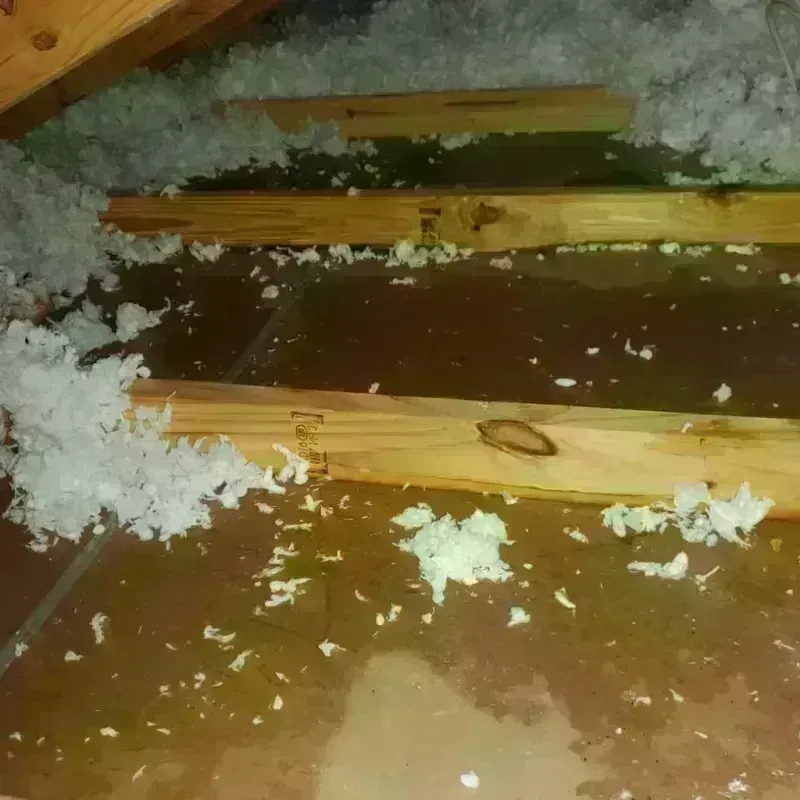 Attic Water Damage in Mountain Iron, MN