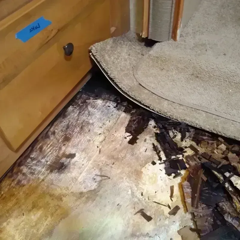 Wood Floor Water Damage in Mountain Iron, MN